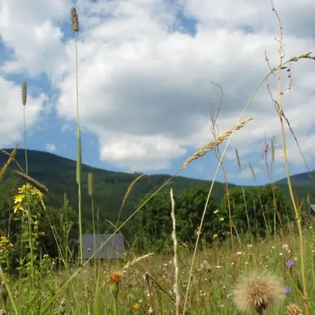 In Jeseniky With Sauna & Mountain Views Villa